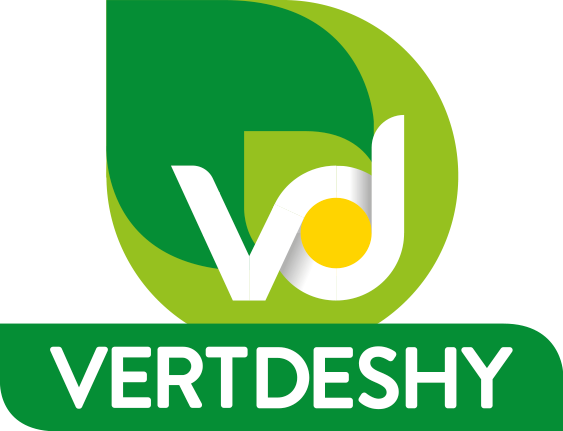 Logo vert deshy